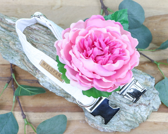Hochzeits-Hundehalsband mit Spitze und abnehmbarer Blütenapplikation mit rosa Pfingsrose