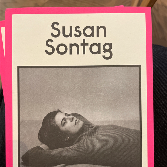 At The Same Time - Susan Sontag
