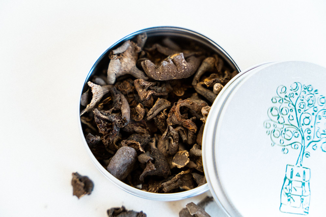 PRE ORDER Lactarius kabansus, eetbare wilde paddenstoel, oogst Muchinga Zambia 2026