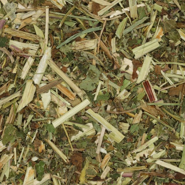 Moerasspirea (meadowsweet) (Filipendula ulmaria) - BIO