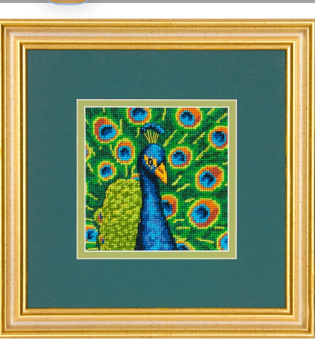 Bunter Pfau