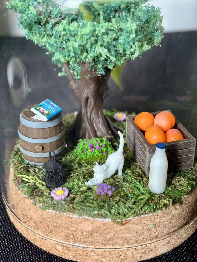 đ Terrarium verre 10cm - Ădition Ă©tĂ©