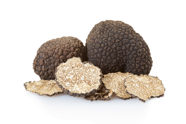 Tartufo Nero Uncinato