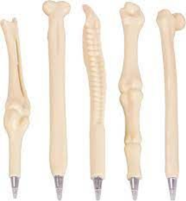 Knochen Kugelschreiber