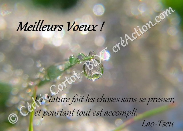 Carte de vœux (Ref Meilleurs Voeux 3)