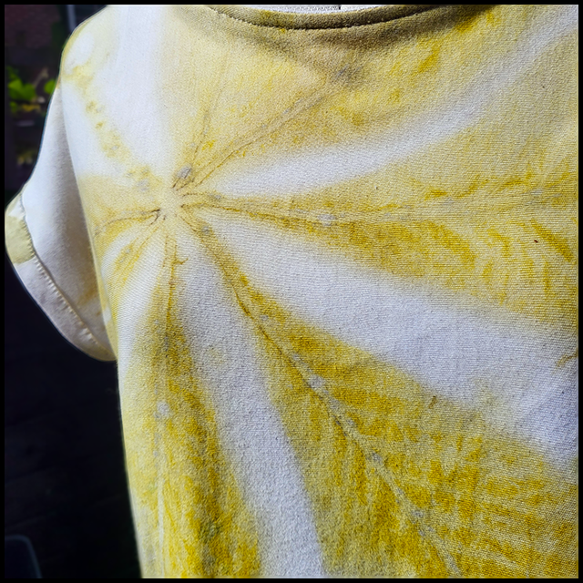 Organic Interlock Jersey Box Top Size Small/Medium