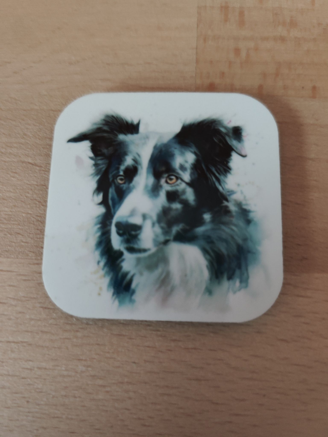 Magnet Border Collie