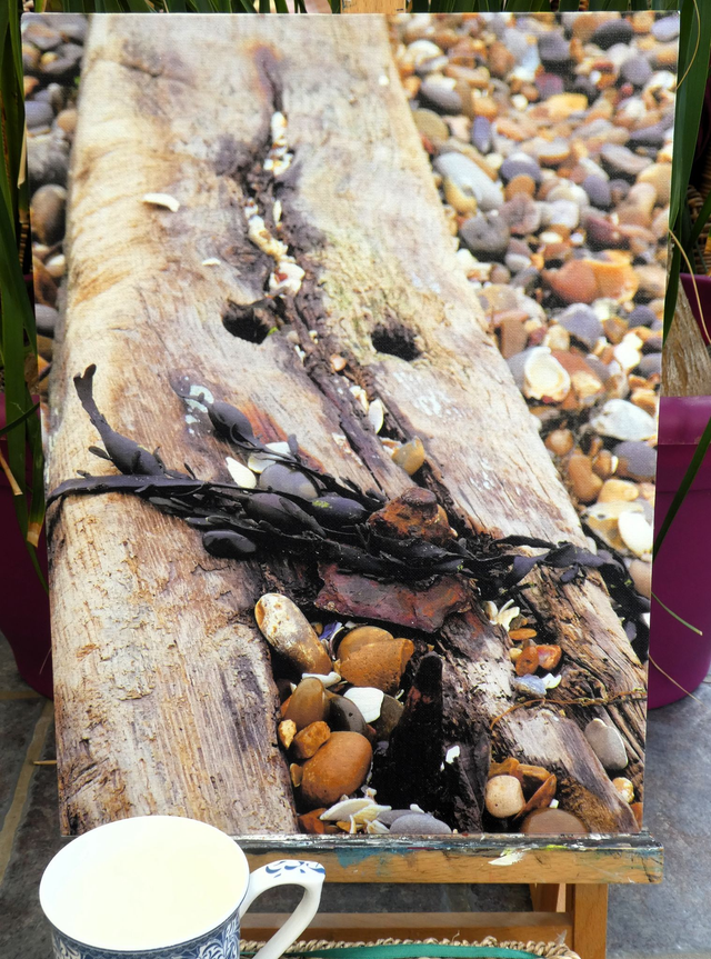 Photographic Open Edition Canvas Panel Print, from my "Water Flows" collection, "Wood Water Stone"