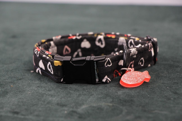 Collier Petit Chien ◾️Cœur 