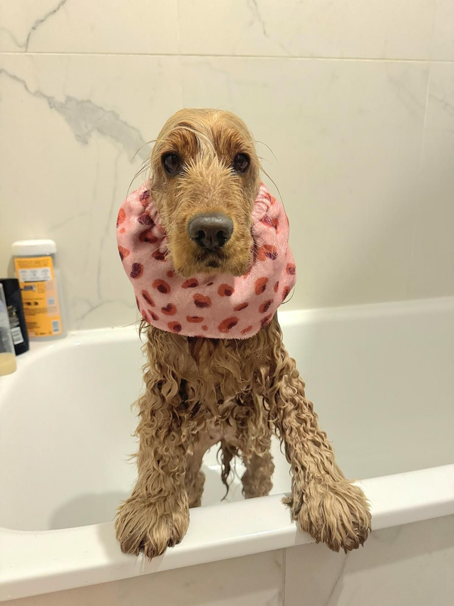 Snoods sortie de bain