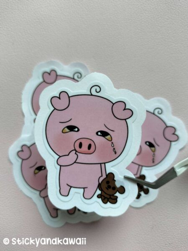 Pouic le cochon et son doudou 