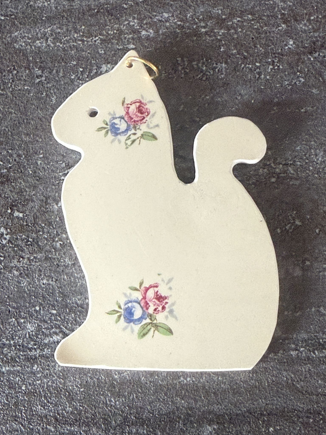 Chat douceur de roses