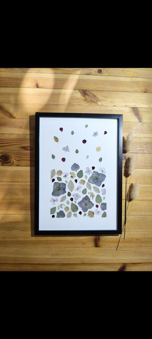 Herbier d&#039;Art Envolé A4