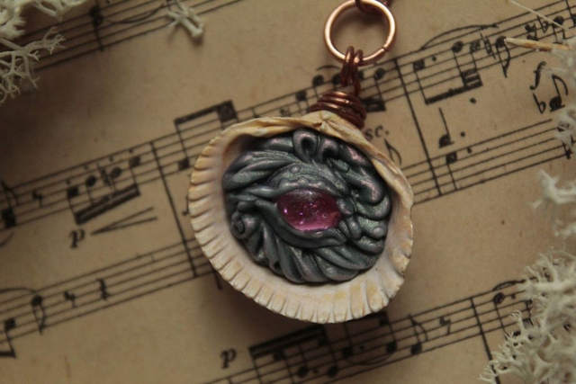 Coquillage Métamorphe- n°10