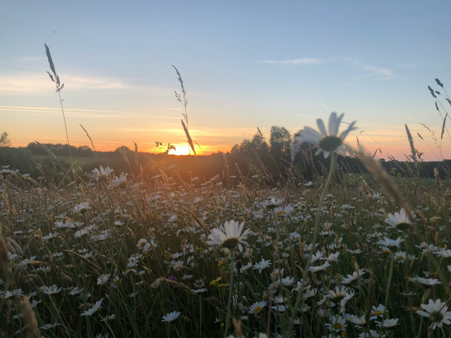 MASSAGE RELAXANT (30min)