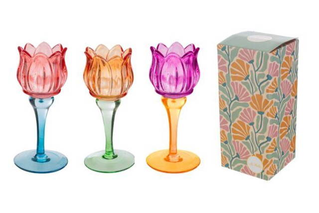 Le Stelle - Portacandela Tulip Alto Vetro Colorato 3 colori assortiti