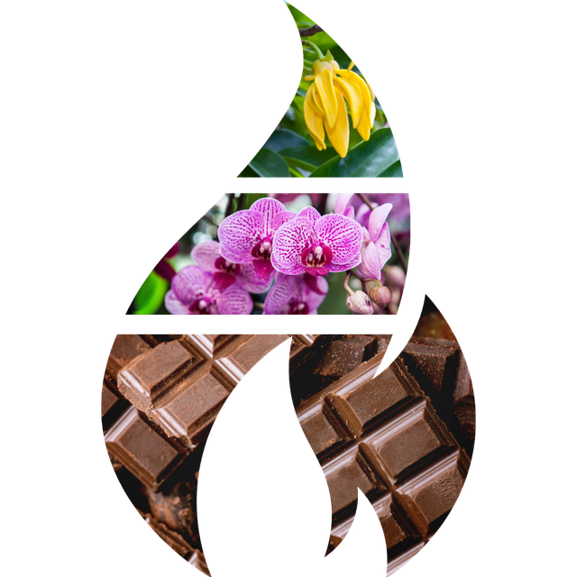 Black Orchid