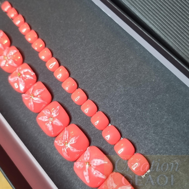 Corail sun flower little pieds