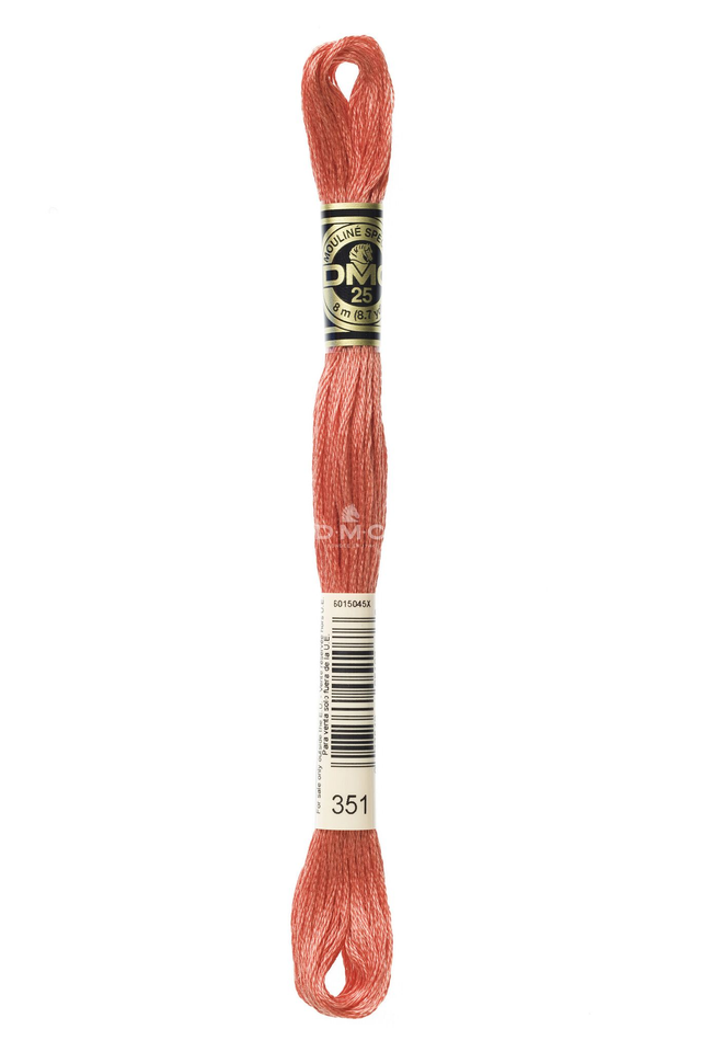 N°351 Mouliné Spécial DMC