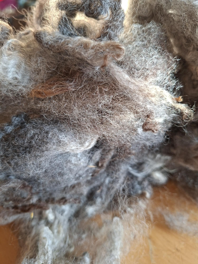 Gotland Leicester croisé 145g Toison26002