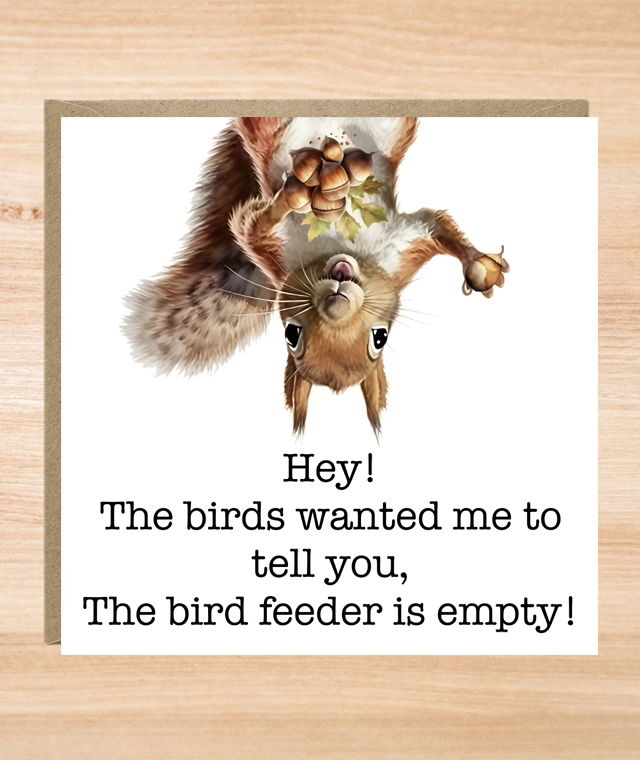 Funny Squirrel Birthday Card