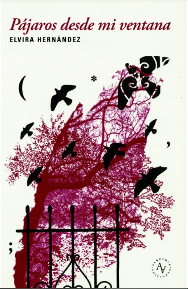 Pájaros desde mi ventana - Elvira Hernández