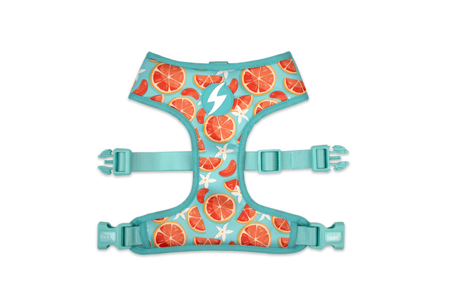 Eco Caribe Neo Mesh