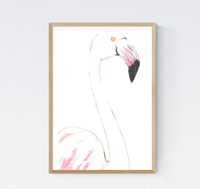 Flamant rose Profil
