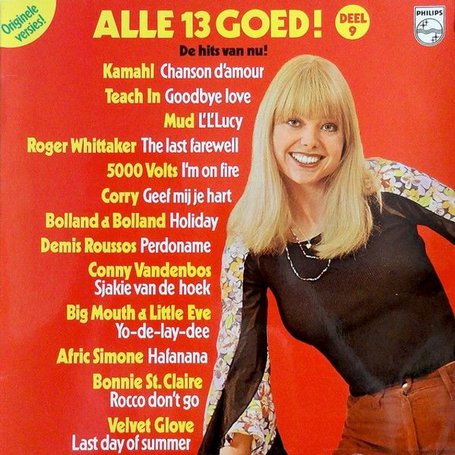Various - Alle 13 Goed! Deel 9 (LP)