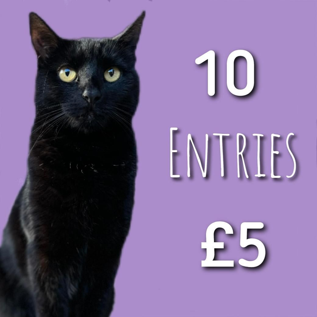 Julie's Easter Hamper Raffle for Feline Care 10 entries