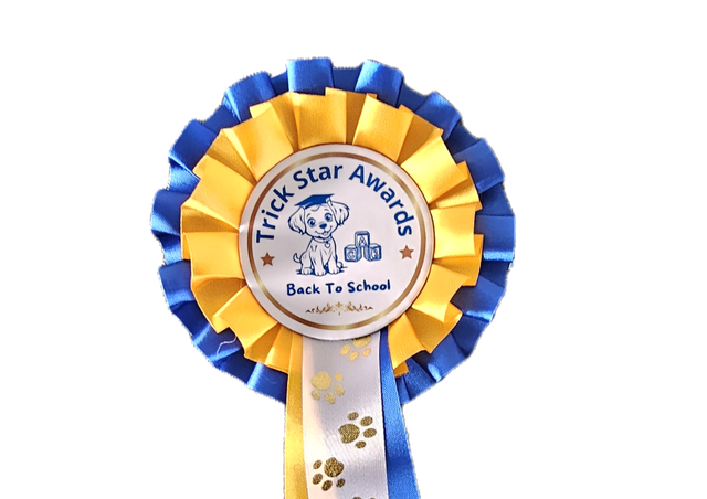 Back to School - Beginner