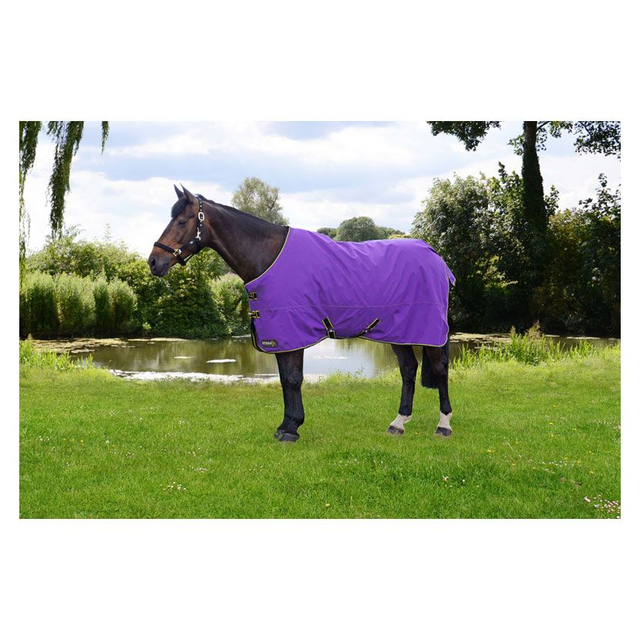 Storm X Original 50g Turnout Rug