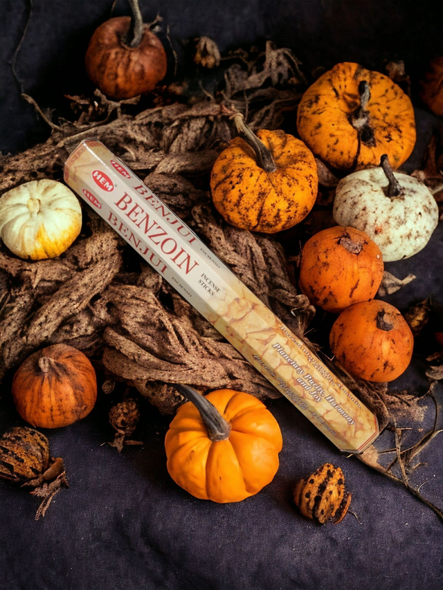 Batônnets d'encens "Benjoin" HEM 20g