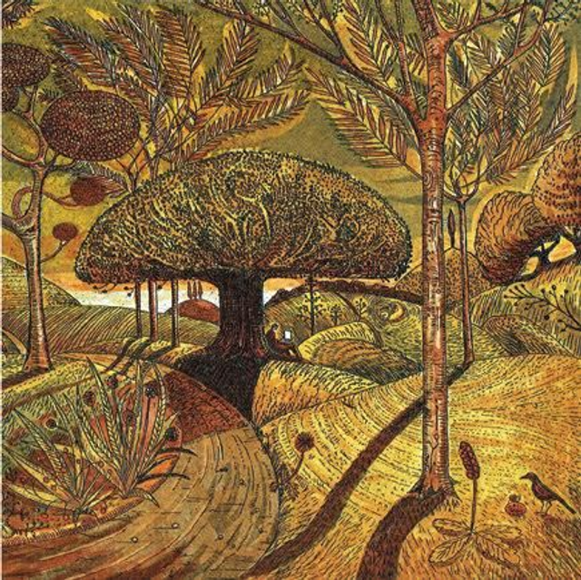 Man on a Laptop - 3 cards