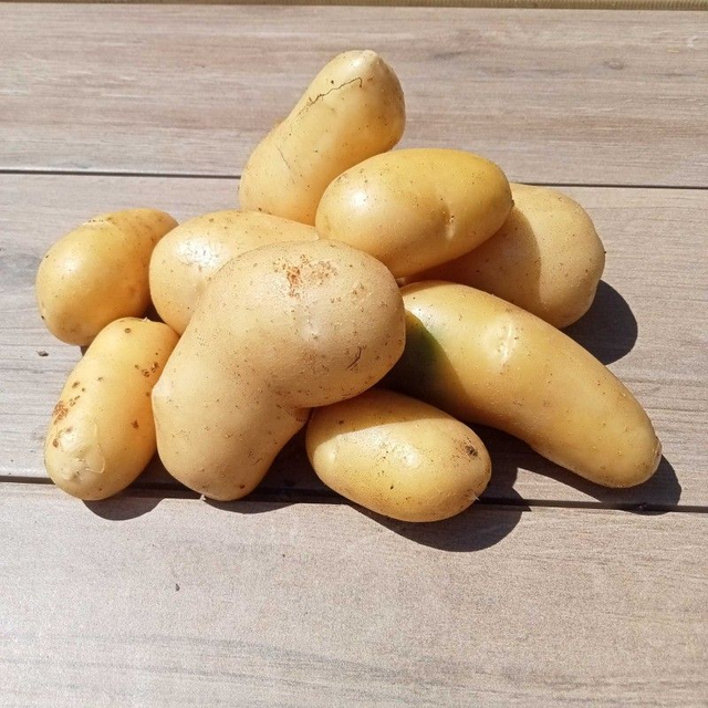 Pomme de terre ferme 1kg