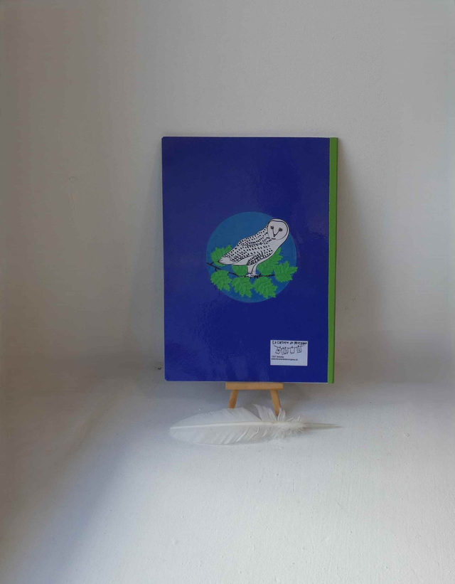 Le grand carnet de dessin des harfangs des neiges