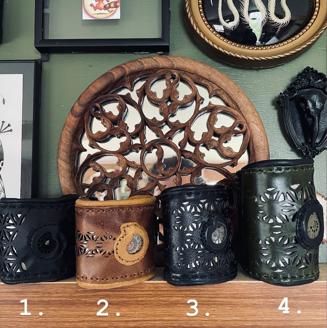 Manchettes ammonites 