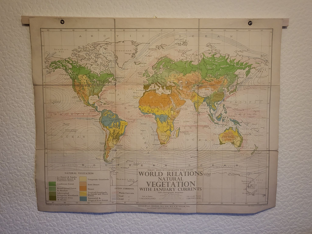 World - Vegetation and Ocean Currents