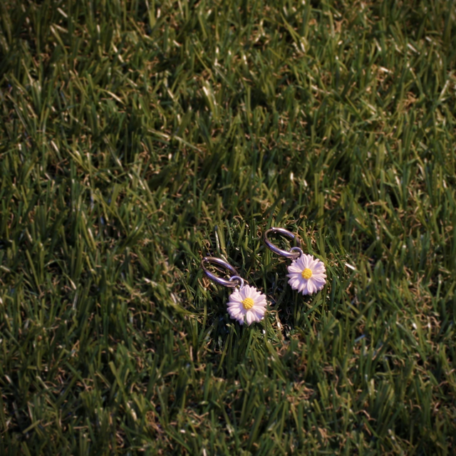 Petites Anthemis - Argenté