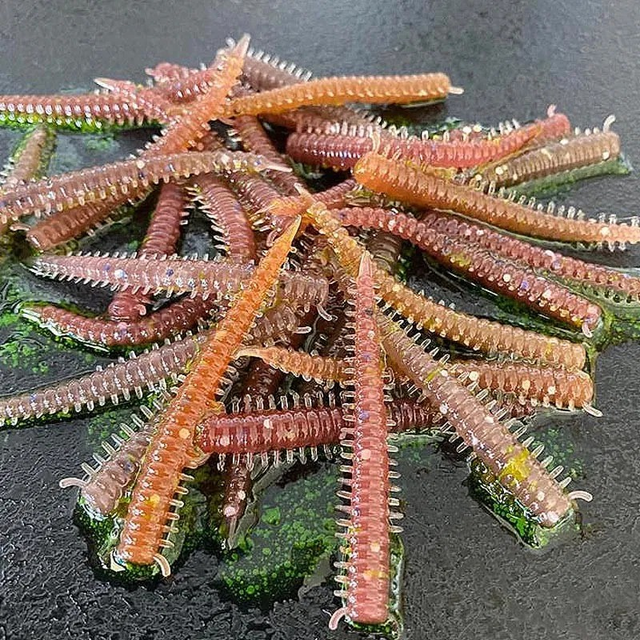 2″ Maddie / Baby Ragworm LRF Mixed Colour Lures Packs of x24