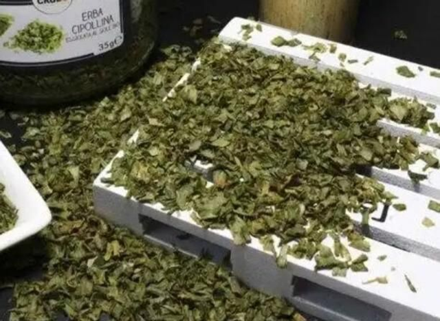 Erba cipollina 