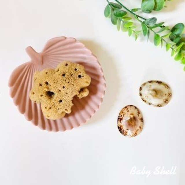Babyshell - Eponge naturelle