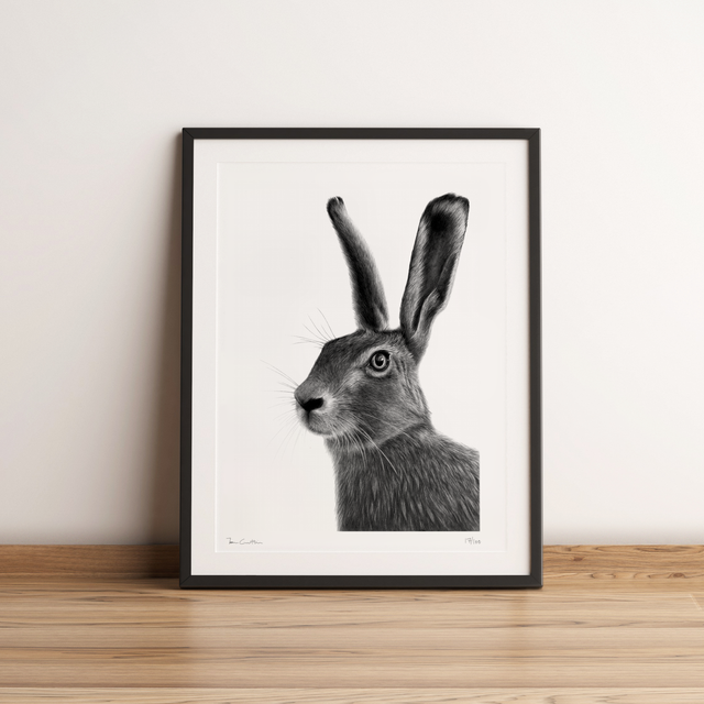 Hare Limited Edition Print