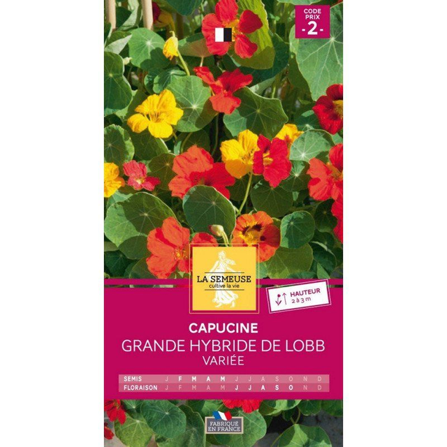 CAPUCINE GRANDE HYBRIDE DE LOBB VARIEE