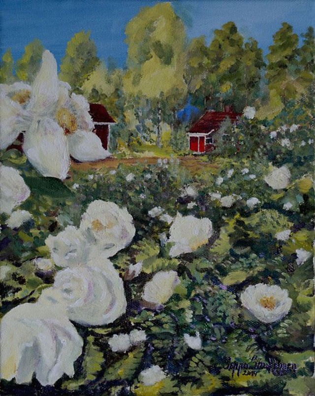 Juhannusruusuja (35x27 cm)