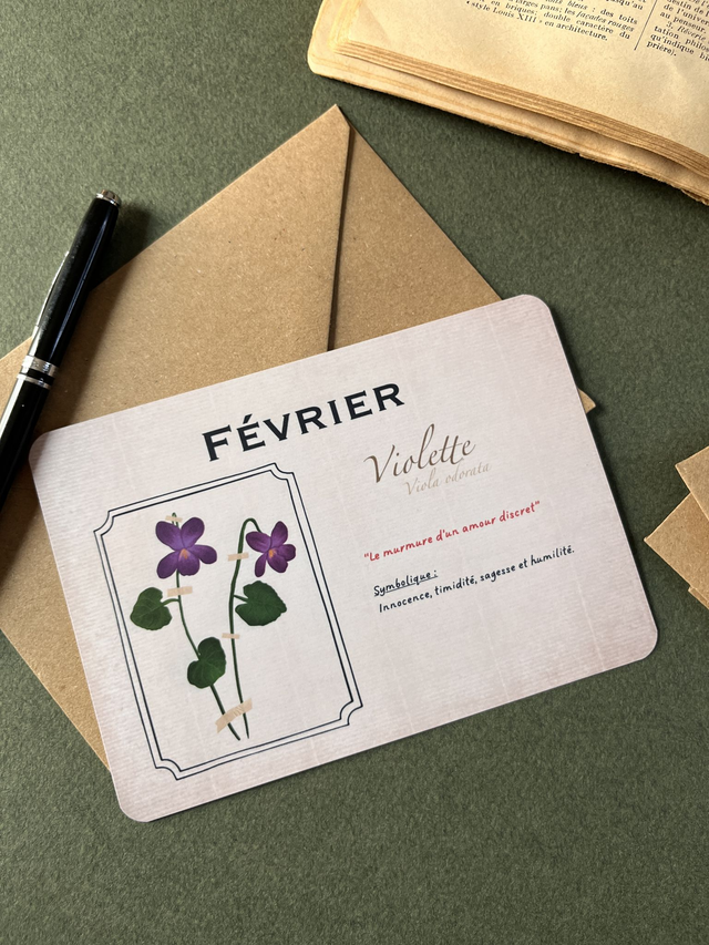 Carte 02. Février, la violette