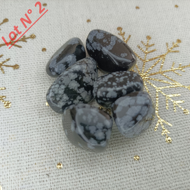 Obsidienne Neige / Pierres Roulées / Lot N° 2