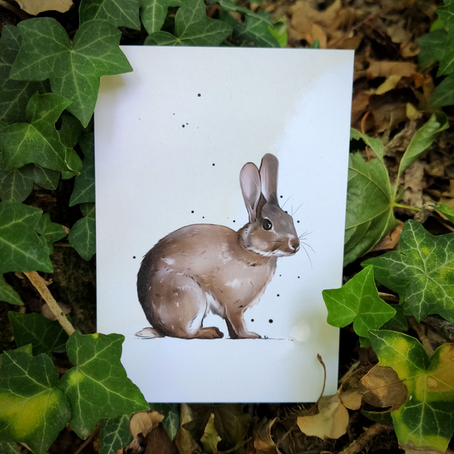 Illustration LAPIN - format A6