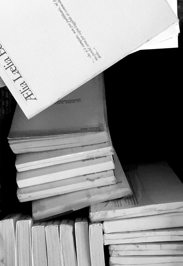 Bordini Silvia - Aelia Laelia e i libri dimenticati