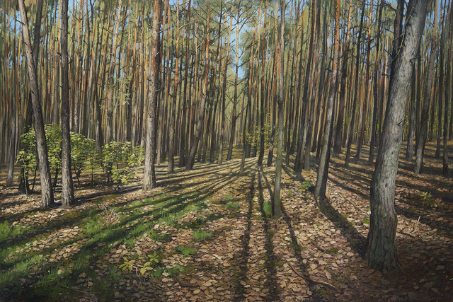 Las w Radomyślu - maj, 120x80 olej płótno 2024 oprawiony